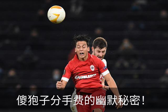 傻狍子分手费的幽默秘密！