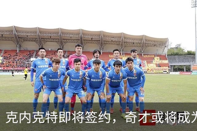 克内克特即将签约，奇才或将成为新家园
