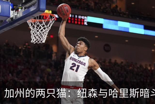 加州的两只猫：纽森与哈里斯暗斗背后的总统梦